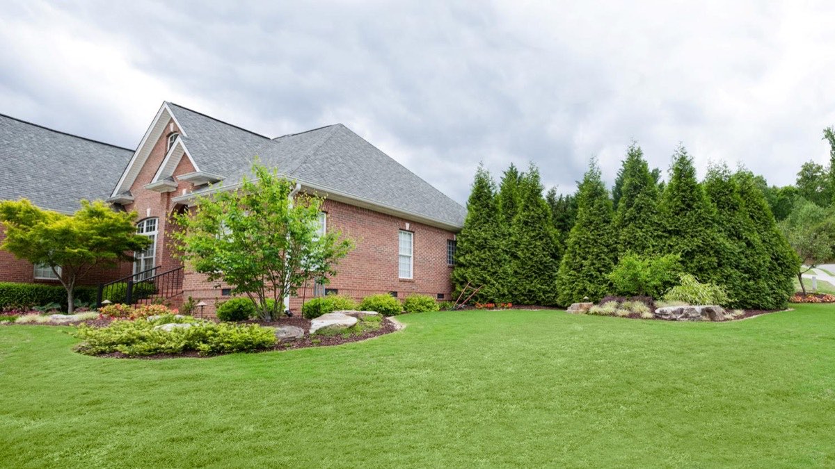 Outdoor Inc foundation plantings and evergreen screen beside a brick residence