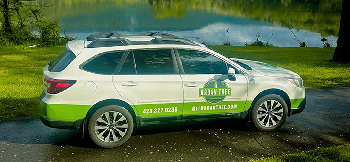 white urban tree branded car parked by a lake