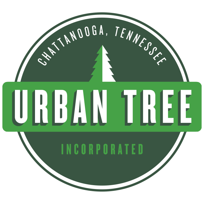 Urban Tree provides professional tree removal, trimming, pruning, and storm cleanup in Chattanooga. Safe, reliable, and affordable tree service. Free estimates.