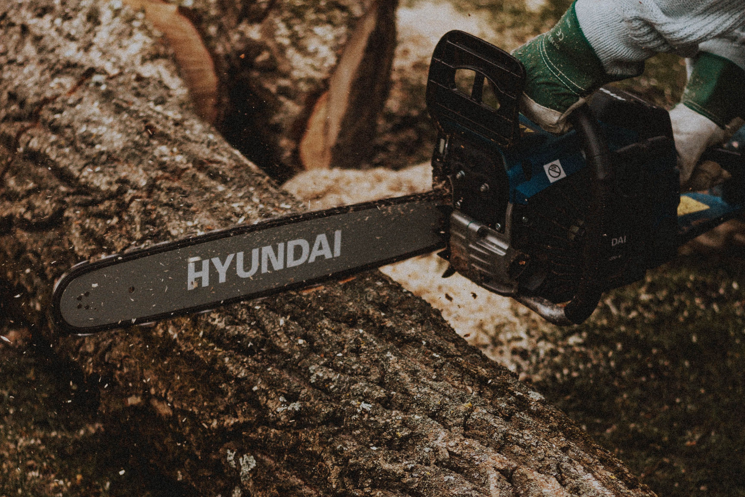 Close-up of a homeowner using a Hyundai chainsaw to cut a fallen tree trunk in Chattanooga, illustrating DIY tree removal risks.