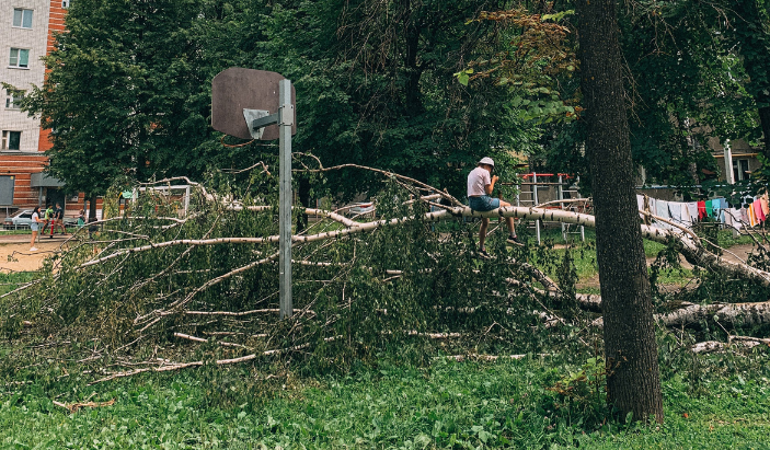 hazardous-dead-tree-liability-soddy-daisy