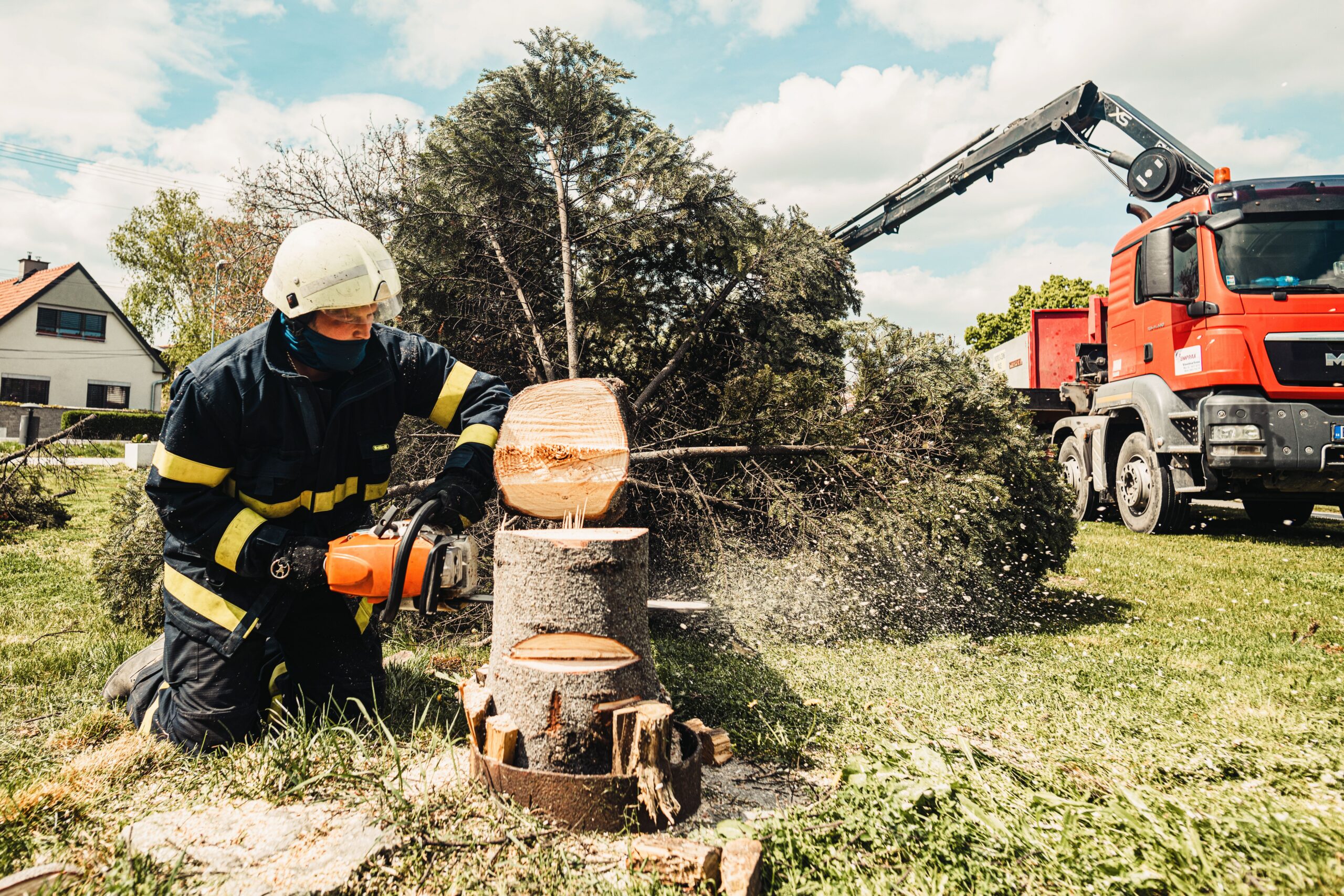 Tree removal crew member cutting a stump with a chainsaw during a Chattanooga tree removal job