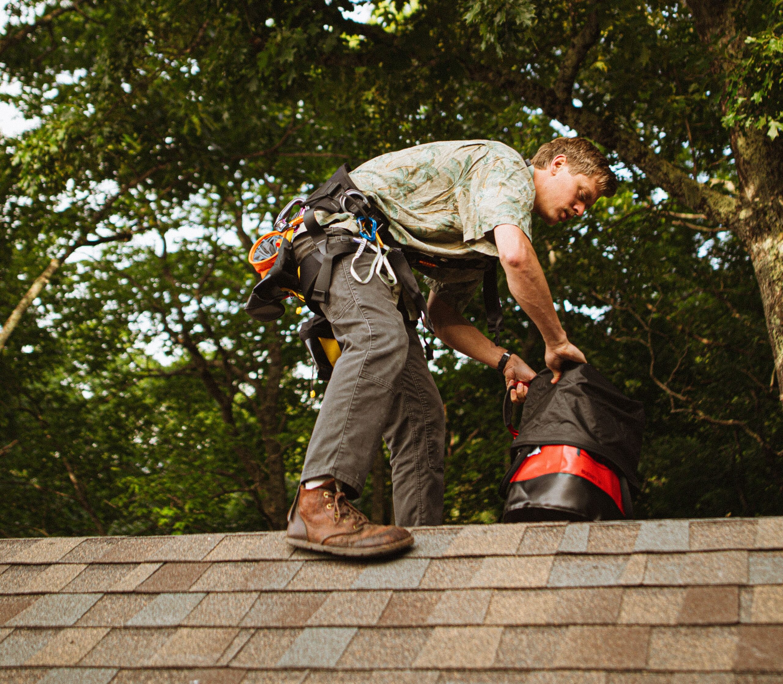 Arborist in a climbing harness on a home roof beneath oak branches planning tree protection in Chattanooga, TN