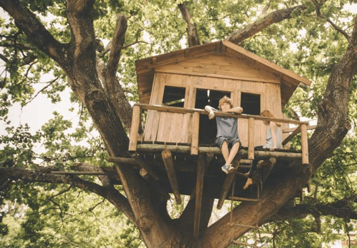 about us Arborist and Tree Service Chattanooga