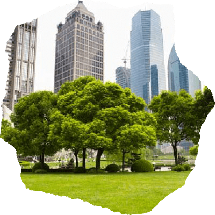 Chattanooga Arborist and Tree Service